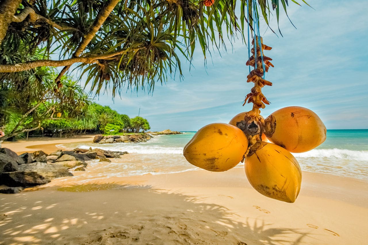 10 лучших пляжей Шри-Ланки для незабываемого отдыха