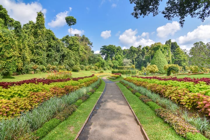 Royal Botanic Gardens, Peradeniya